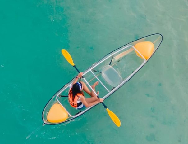 51JyXycnG7L._UF1000,1000_QL80_